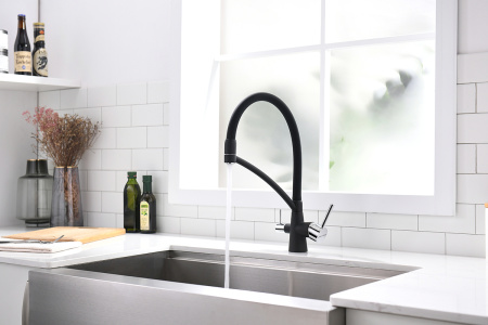 Смеситель для кухни Paulmark SIEGEN Si213111-401 на мойку черный/хром